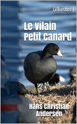 Télécharger Le Vilain Petit Canard: (illustré) Livre PDF Gratuit