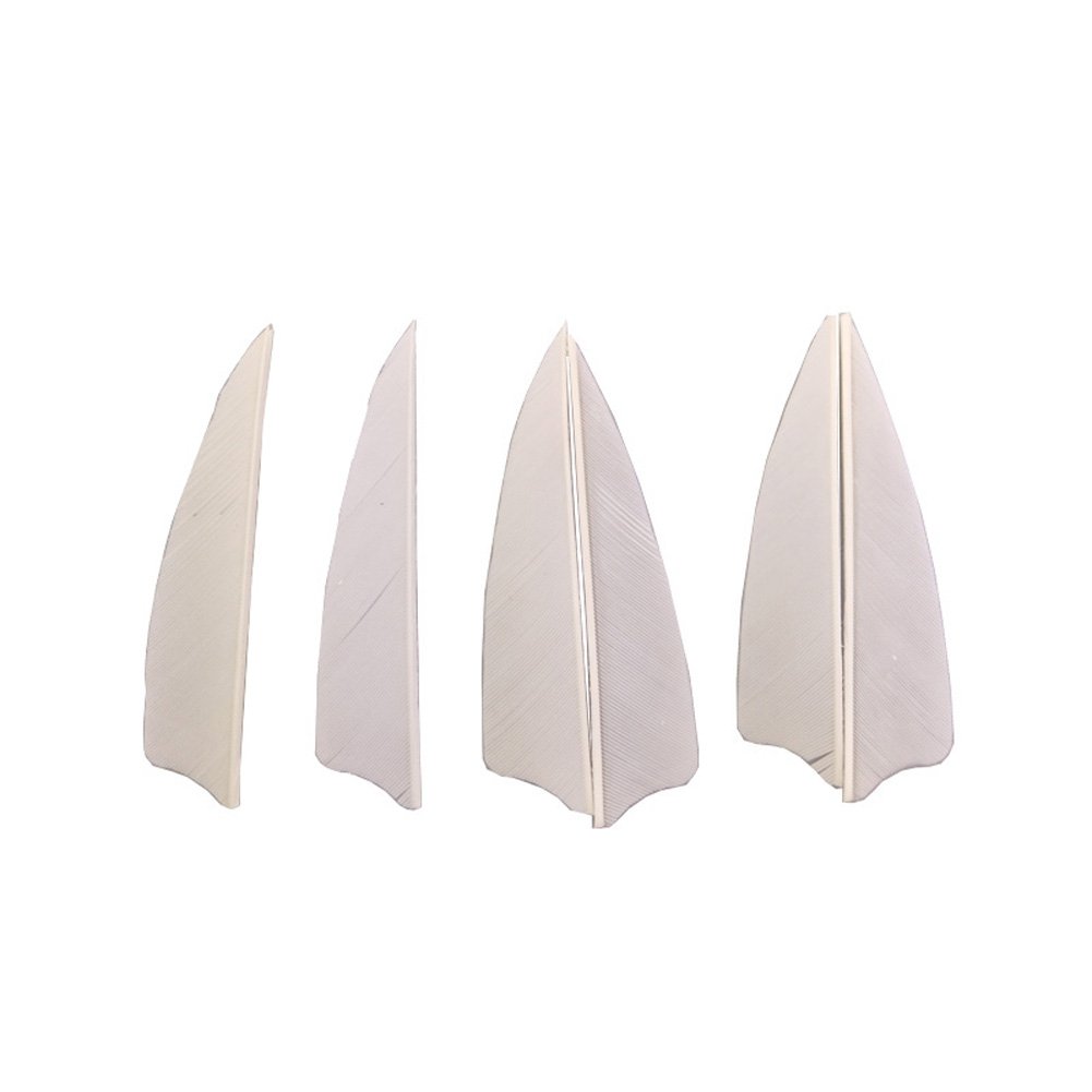 Milaem Plumas para Flechas Pluma de Flecha de 3 Pulgadas Pluma de la Naturaleza para Flechas de Caza Alas derechas (Paquete de 50)