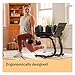 BowFlex SelectTech Stand with Media Rack