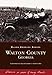 Walton County Georgia (GA) (Black America)