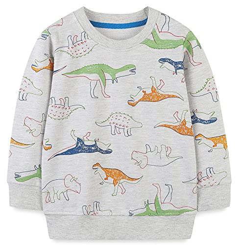 TEDD Boys Sweatshirt for Kids Dinosaur Shark Jumper Cotton Casual Top Long Sleeve Pullover T-Shirt Toddler Girls Shirts Baby Clothes 3-4 Years