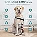 Dog Shoulder & Elbow Brace – Anti-Licking Sleeve for Shoulder Dislocation, Elbow Injuries, Postoperative Recovery – Reflective, Breathable Dog Front Leg Brace Support, Cone Alternative – Left Leg, L