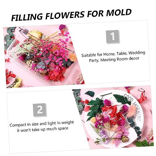 Set de flores secas para manualidades DIY 6 cajas miniatura 3