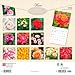 Roses | 2026 12 x 24 Inch (Hanging) Monthly Square Wall Calendar | Plastic-Free | BrownTrout | Flower Floral Plant Outdoor Nature Gardening