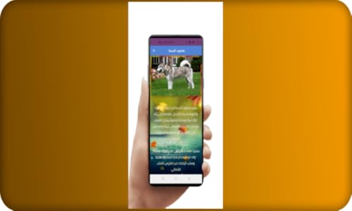 أشرس كلاب الهاسكي