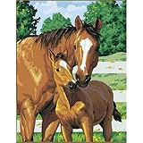 Peinture Par Numéros Pour Adultes Toile Chevaux Se Blottir Cadeau Pour Ami Bricolage Peinture 40X50cm