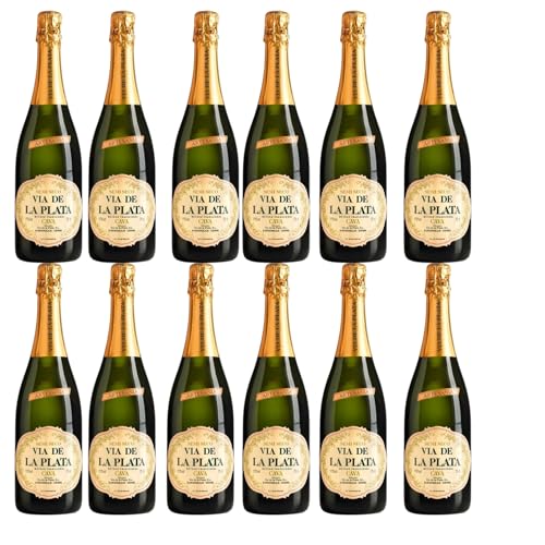 Cava Via Plata Semiseco - Mejor Cava 2023- Vino Espumoso de Bodegas Españolas - 750ml - Notas Frutales y Refrescantes - Ideal para Celebraciones y Maridajes - Pack 12 Botellas