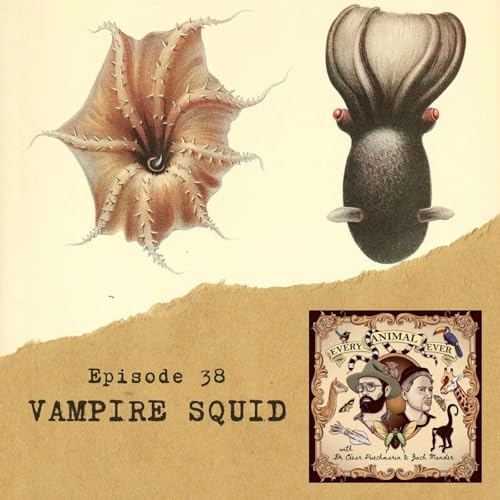 38 - Vampire Squid cover art