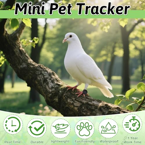 GPS Tracker Katze, GPS Tracker für Hunde Ohne ABO, Mini Katzen Tracker, Katzentracker Hundetracker Kompatibel mit Android & iOS, Weltweite Standortverfolgung, Gepäckortung