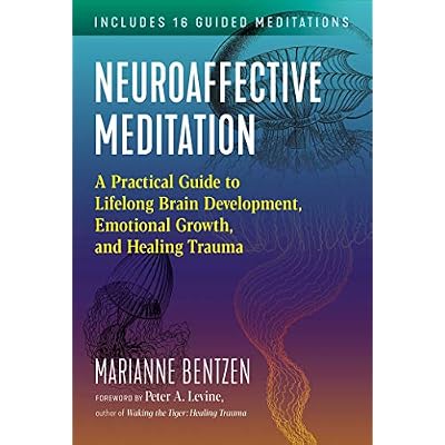Neuroaffective Meditation