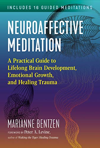 Neuroaffective Meditation: A Practical Guide to Lifelong Brain Development, Emotional Growth, and Healing Trauma (Sacred Planet)