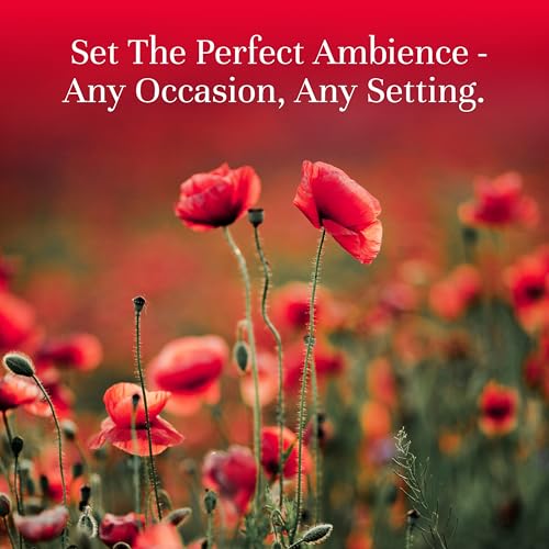 Image of P&J Trading Fragrance Oil Floral Set | Violet, Rose, Freesia, Jasmine, Lilac, Gardenia, Lily, Woodbine, Azalea, Ylang Ylang, Sweet Pea, Plumeria, Lavender, Bamboo Candle Scents for Candle Making