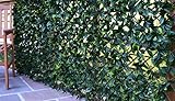 2m x 1m in size - Can be extended to cover larger areas Realistic alternative to traditional grown hedging with Laurel leaves Instant Hedging serving as all of the following - Artificial Screening, Fencing, Trellis, Privacy Screen, Garden Extendable ...