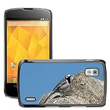 Haute qualite et durabilite Grand Phone Cases Etui Housse Coque de Protection Cover Rigide pour // M00141437 Lavandera blanca Motacilla Alba // LG Nexus 4 E960