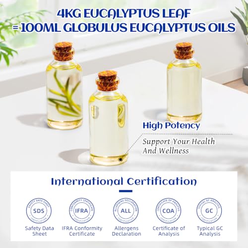 Image of HIQILI 100ML Eucalyptus Essential Oil for Spray, Diffuser & Skin - 3.38 Fl Oz