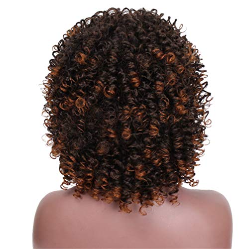 Perruque courte bouclée noire 14 pouces : solution rapide pour cheveux fins