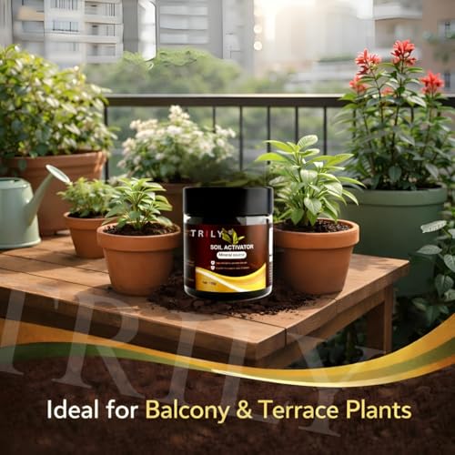 Image of Soil Activated Treasure Plant Growth Booster | Improves Soil Quality & Root Support | Suitable for Indoor & Outdoor Plants | for Pots, Gardens & Home Plants | Easy to Use 100g (PACK OF 2)