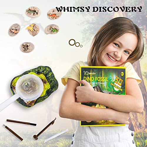 Dinosaur Fossil Digging Kit For Kids, Dinosaur Eggs Excavation Kit, Dino Fossil Dig Kit, Great Stem Science Kit Gifts #TOP5