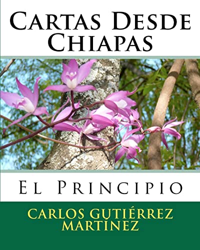 Cartas Desde Chiapas: El Principio (Spanish Edition)