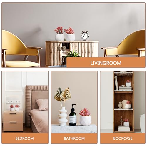 VIVERIE-piante-grasse-finte-in-vasi-di-ceramica-bianca-per-la-scrivania-lufficio-e-la-decorazione-della-casa-piante-finte-incluse-set-di-4-piante-grasse-artificiali
