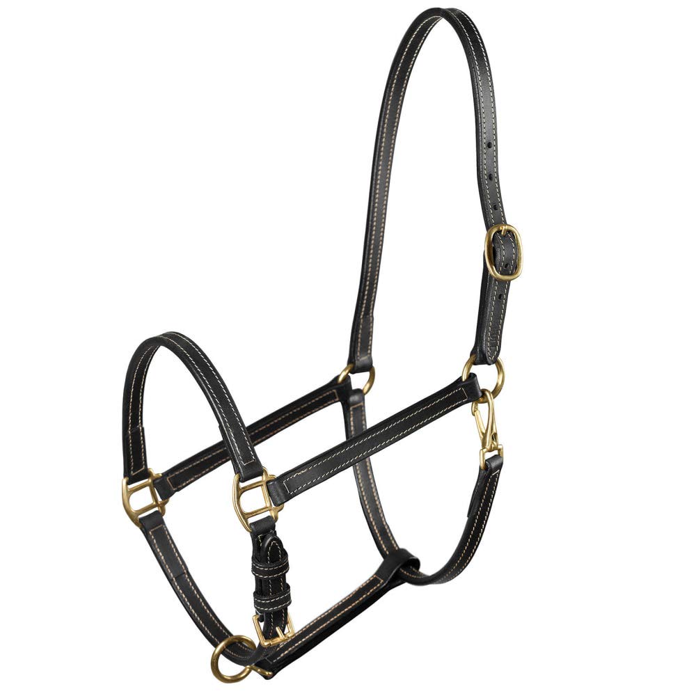 HORZE Fremont Leather Horse Halter