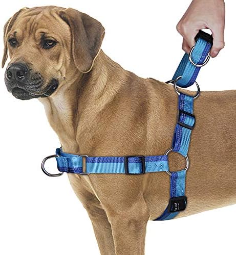 diy dog harness for pulling