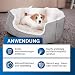 Enzymreiniger gegen Katzenurin & Hundeurin – Geruchneutralisator Spray mit 2‑Phasen Enzym-Formel | Cat Urine Enzyme Cleaner Destroyer für Haushalt, Textilien & Auto (125 ml)