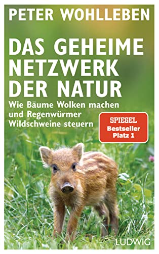 Produkt Bild Nr. 9