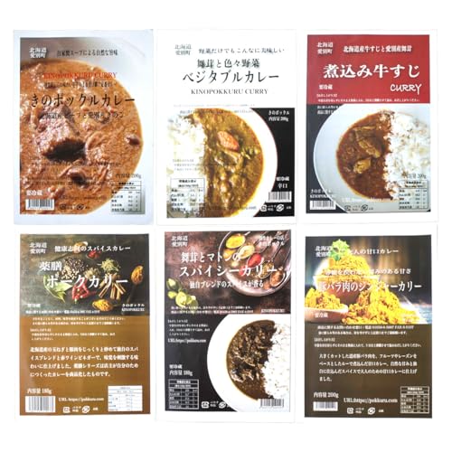 きのポックル 店主の創作カレー バラエティ 6種 詰め合わせ カレー 冷蔵