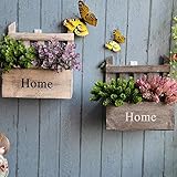 Decoración para bonsai de pared, es multifuncional para ser cajas de almacenamiento