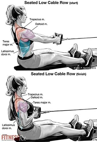 Double D Handle, Cable Machine Handle Attachments, Pull Down Exercise Handles of Home Gym Accessories