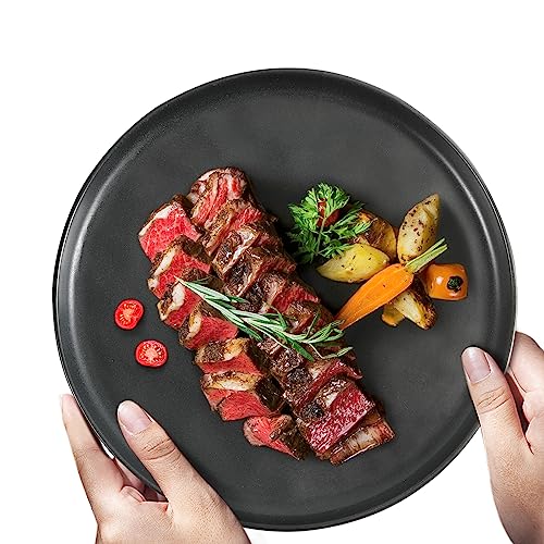 Vidalenta Dinner Plates Set Of 4, 8 Inch Salad Plate Set, Porcelain Pasta Plate Set Serving Dishes Small Plates Modern Dinnerware Set, Microwave Oven And Dishwasher Safe, Matte Black #TOP4