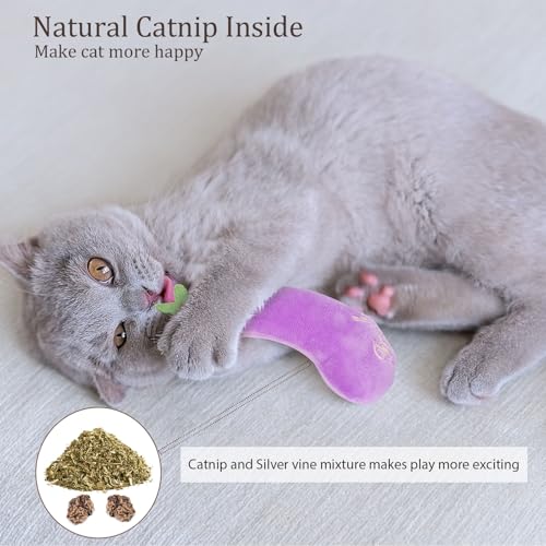 ETEKYER Catnip Cat Toys, Cat Nip Kitten Toy for Indoor Cats Kitty Kicker, Durable Kitten Teething Chew Toys, 5 Pack, Vegetable Shape image 2