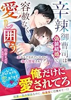 辛辣御曹司は偽装結婚で容赦なく愛し囲う〜恋なんて忘れていたのに独占激愛されて〜