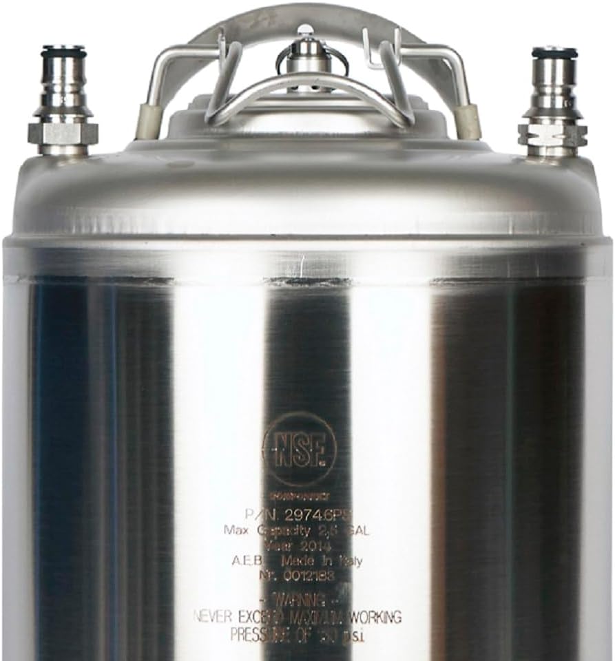 Two Pack of New AEB 2.5 Gallon Ball Lock Kegs with Single Handle
