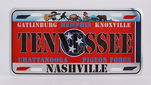 Dimension 9 Home Decorative Plate, Tennessee