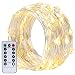 Battery Operated String Lights, DecorNova 19.7 Feet 60 LED Copper Wire Starry Firefly String Lights with Waterproof 3AA Battery Case & Remote Control for Christmas Bedroom Weddings, Warm White