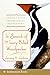 In Search of the Ivory-Billed Woodpecker