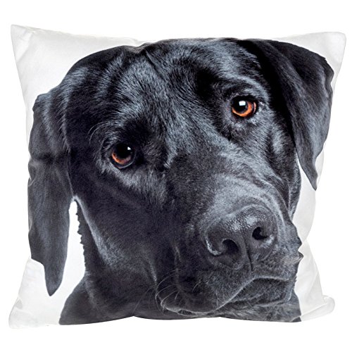 Image of Visage Cushion Small Black Labrador