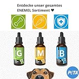ENEMEL Vitamin B Komplex Hund Tropfen 30 ml – flüssige Vitamine für Hunde zur einfachen Anwendung, B-Vitamin Komplex zur täglichen Ergänzung & Fütterungsroutine, Premium Qualität Made in Germany