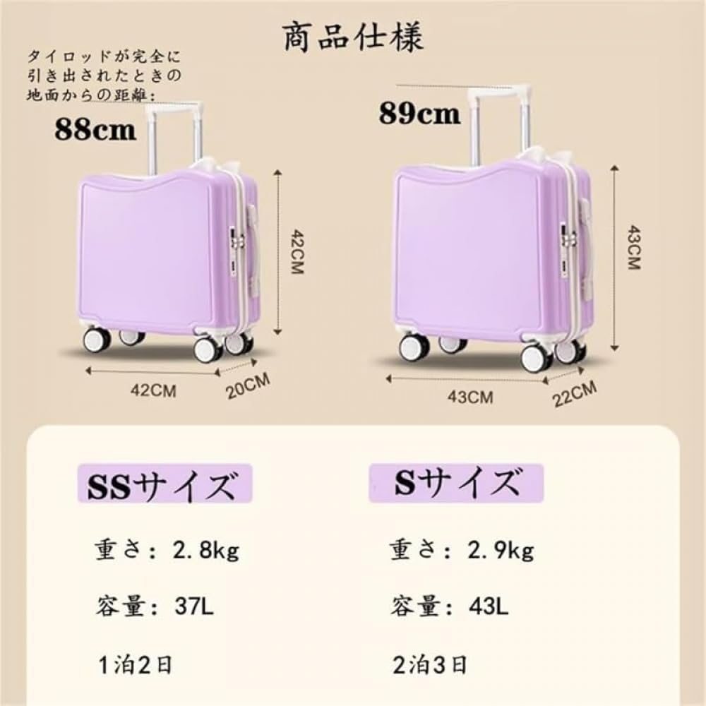 2010 VAMPSキャリーケース　廃盤品貴重 VAMPS キャリーケース VAMPS キャリーケース ! 画像追加しました2010