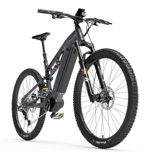 LANKELEISI GT800 electric bicycle, mid-mounted motor, 20Ah battery, full suspension, 29 * 2.4 tires, 12 speeds. (Gray)