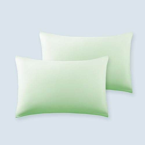 SLEEP ZONE Nanotex Cooling Pillowcases - 2 Pack, Silky Pillow Cases for Hair and