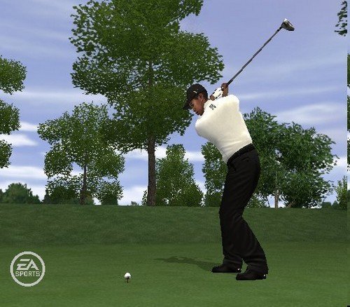 Image of Tiger Woods PGA Tour 10 - PlayStation 2 (Renewed)