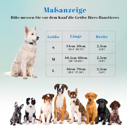 Leuchthalsband Hund, Hundehalsband Leuchtend Aufladbar mit Batteriekontrollleuchte, Wasserdichtes LED Hundegeschirr Leuchtend, Einstellbare Größe 3 Blinkende Lichter