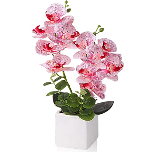 Künstliche Blumenbonsai mit weißem Topf, fühlt sich echt an, künstliche Orchideen, Blumenarrangement, gefälschte Phalaenopsis für Tischdekoration, Büro, Zuhause, Hochzeit, Party, Innendekoration Cover