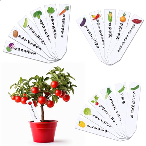 JarThenaAMCS 18Pcs Acrylic Vegetable Labels Waterproof Plant Marker Reusable Garden Stake Tags with Vegetable Names for Nursery Indoor Outdoor Garden Decoration