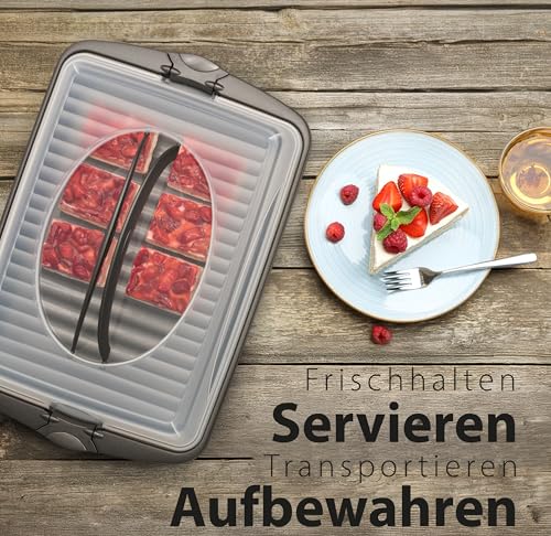 Hausfelder Transportbox groß rechteckig aus Kunststoff mit Deckel, Kuchen Transportbox für Blechkuchen XXL 30x44x9cm, Kuchenbehälter Kuchencontainer mit Deckel