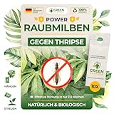 GREEN GUARDIA Power Raubmilben gegen Thripse – 10 Tüten - Biologisches Mittel zur effektiven Thripse Bekämpfung für Zimmer- und Zierpflanzen sowie Cannab. – umweltfreundlich,chemiefreie Mittel