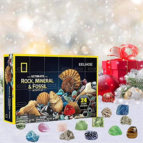OLOPE Rocks & Fossils Kit, Earth Science Kit, Rock & Mineral Collection Activity Kit, 24 Piece Rocks Collection 2020 Count Down Advent Calendar, Educational Toys for Kids (Multicolor)